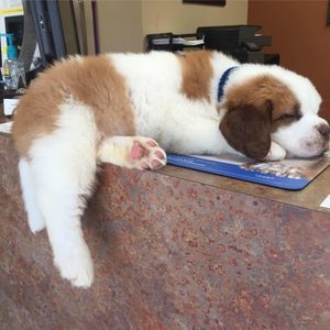 Meet your Posher, Katy